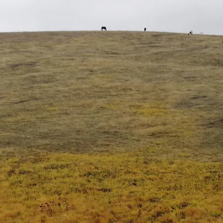 Appartement Max Zlatibor