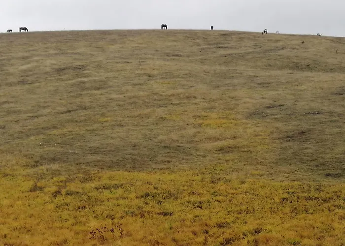 Apartman Max Zlatibor